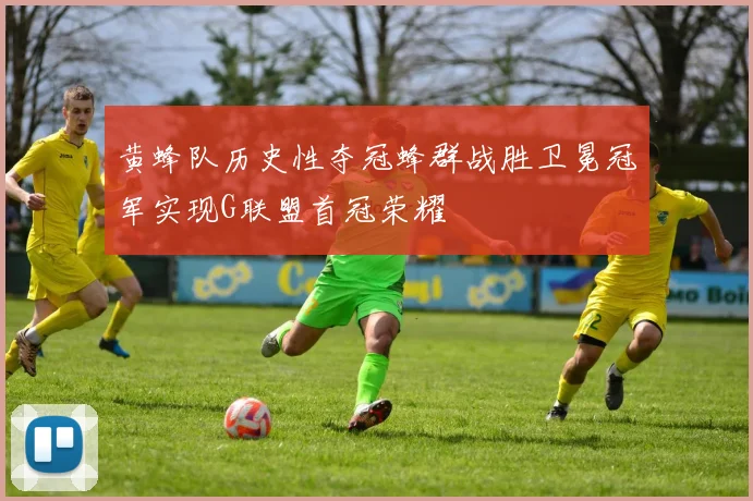 黄蜂队历史性夺冠蜂群战胜卫冕冠军实现G联盟首冠荣耀