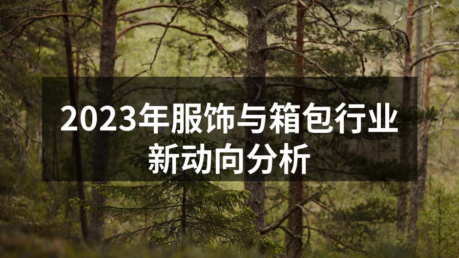可持续时尚的代表性产品
